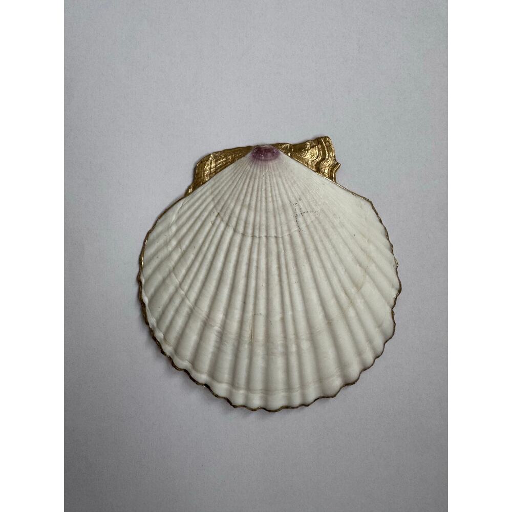 Tropical Fruit Shell Ring Dish Handmade Dish Dragon Fruit Papaya Boho Gift - Picture 3 of 3